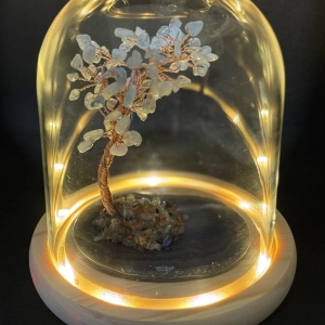 Arbre du bonheur de l&rsquo;Aigue marine